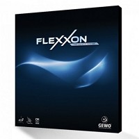 GEWO FLEXXON  德製內能膠皮 速度117  