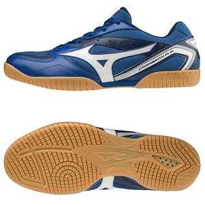 81GA183001 CROSSMATCH PLIO R